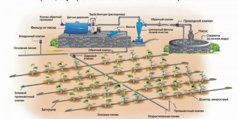 Diy navodnjavanje kap po kap